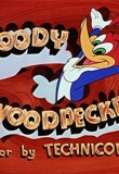 The Woody Woodpecker Show