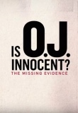 Is O.J. Innocent? The Missing Evidence